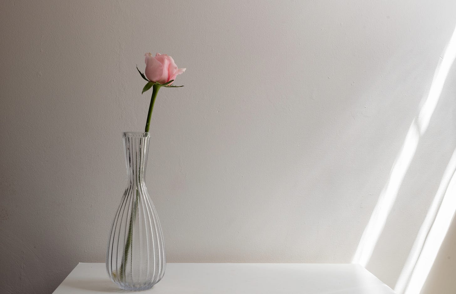 A single pink rose in a clear vase on a small white table. Streams of light coming in from the right. 