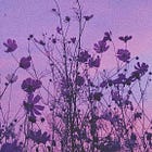 💜esprit: quinze