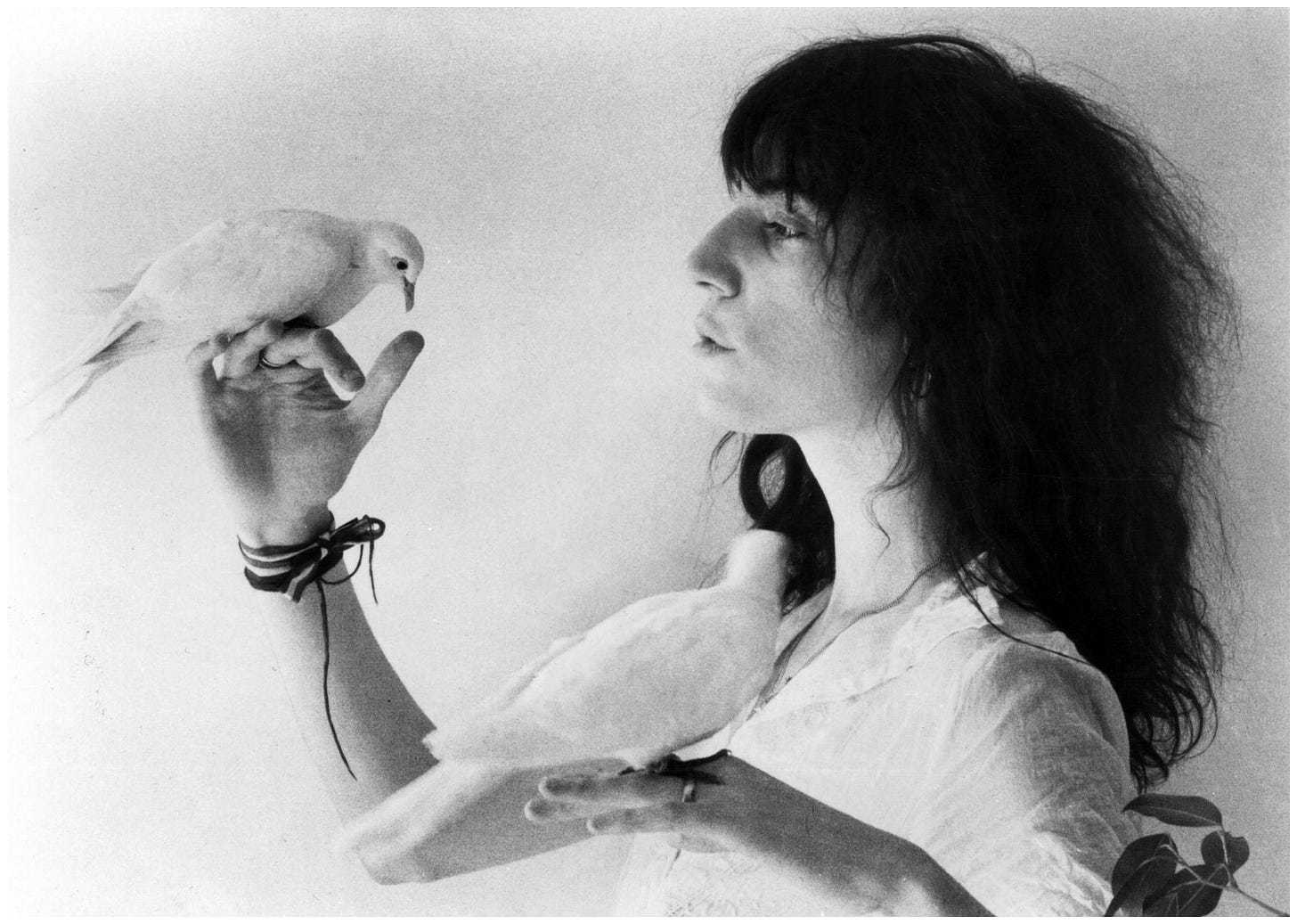 Patti Smith e il punk rock in versi agrodolci