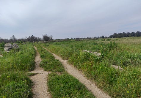 Views from the course, showing mostly wide paths and some narrower ones surrounded by grass