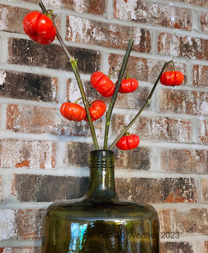 In vase, and a watercolor pencil sketch