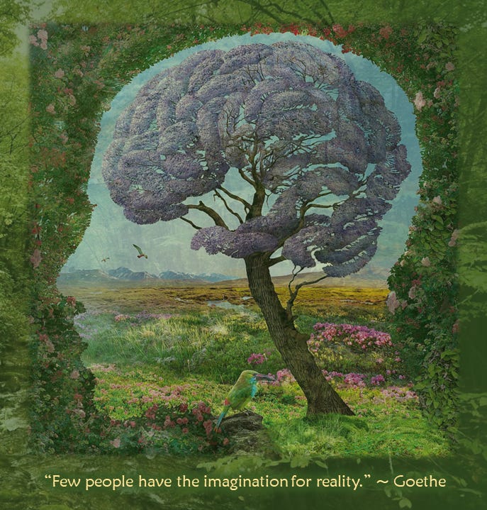 artwork © Igor Morski