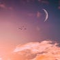 Reiki And The Moon's avatar