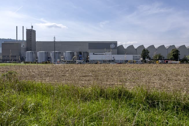 Birr im Kanton Aargau: Hier soll gemäss Verordnung des Bundesrates vom Freitag ein Reservekraftwerk gebaut werden. Birr im Kanton Aargau: Hier soll gemäss Verordnung des Bundesrates vom Freitag ein Reservekraftwerk gebaut werden.