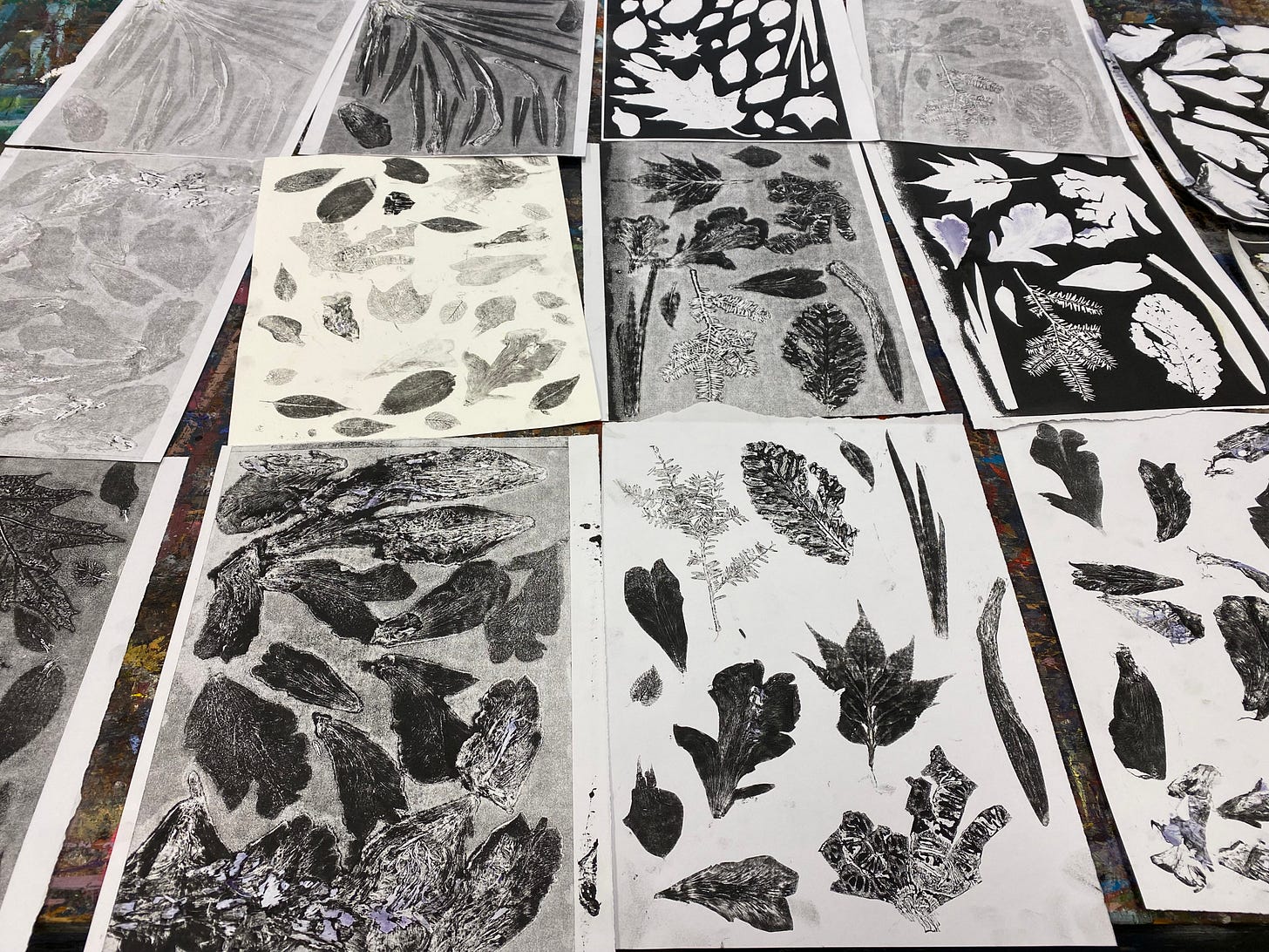 Various prints of plant matter laid out on a table, showing images of tulip petals, leaves, and stems in various shades of black, white, and gray.