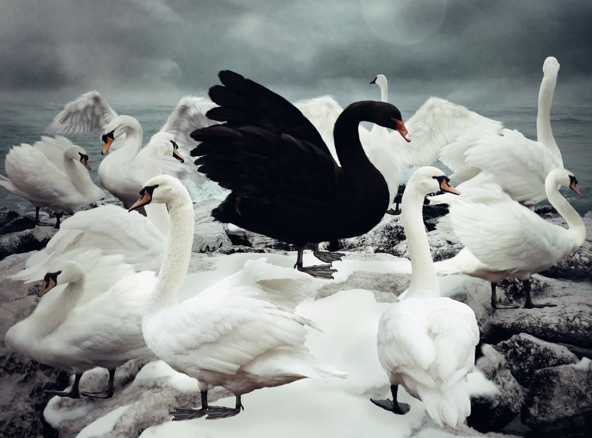 Risk Management And Black Swan Events
