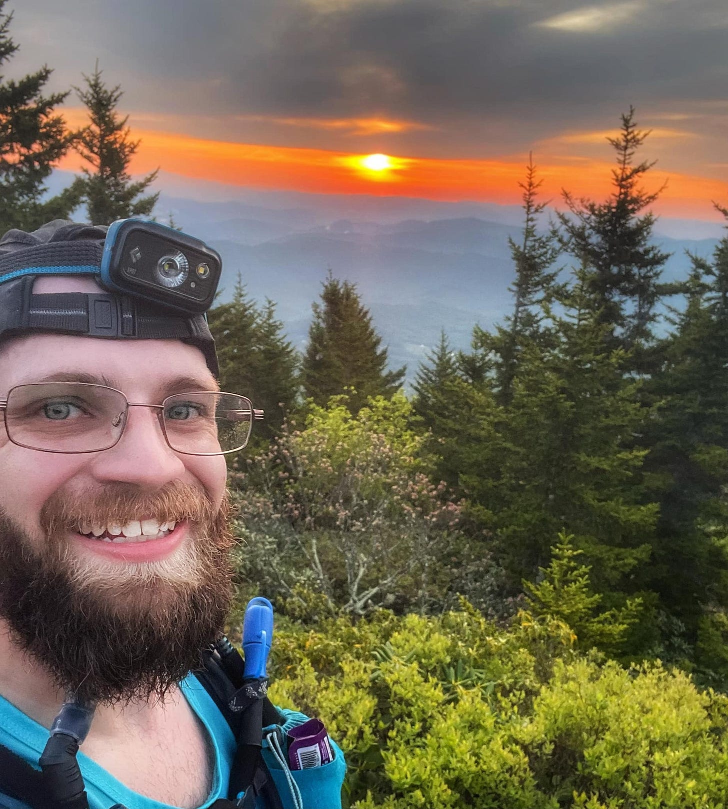 May be an image of 1 person, mountain, tree and nature