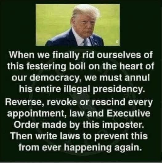 May be an image of 1 person and text that says 'When we finally rid ourselves of of this festering boil on the heart of our democracy, we must annul his entire illegal presidency. Reverse, revoke or rescind every appointment, law and Executive Order made by this imposter. Then write laws to prevent this from ever happening again.'