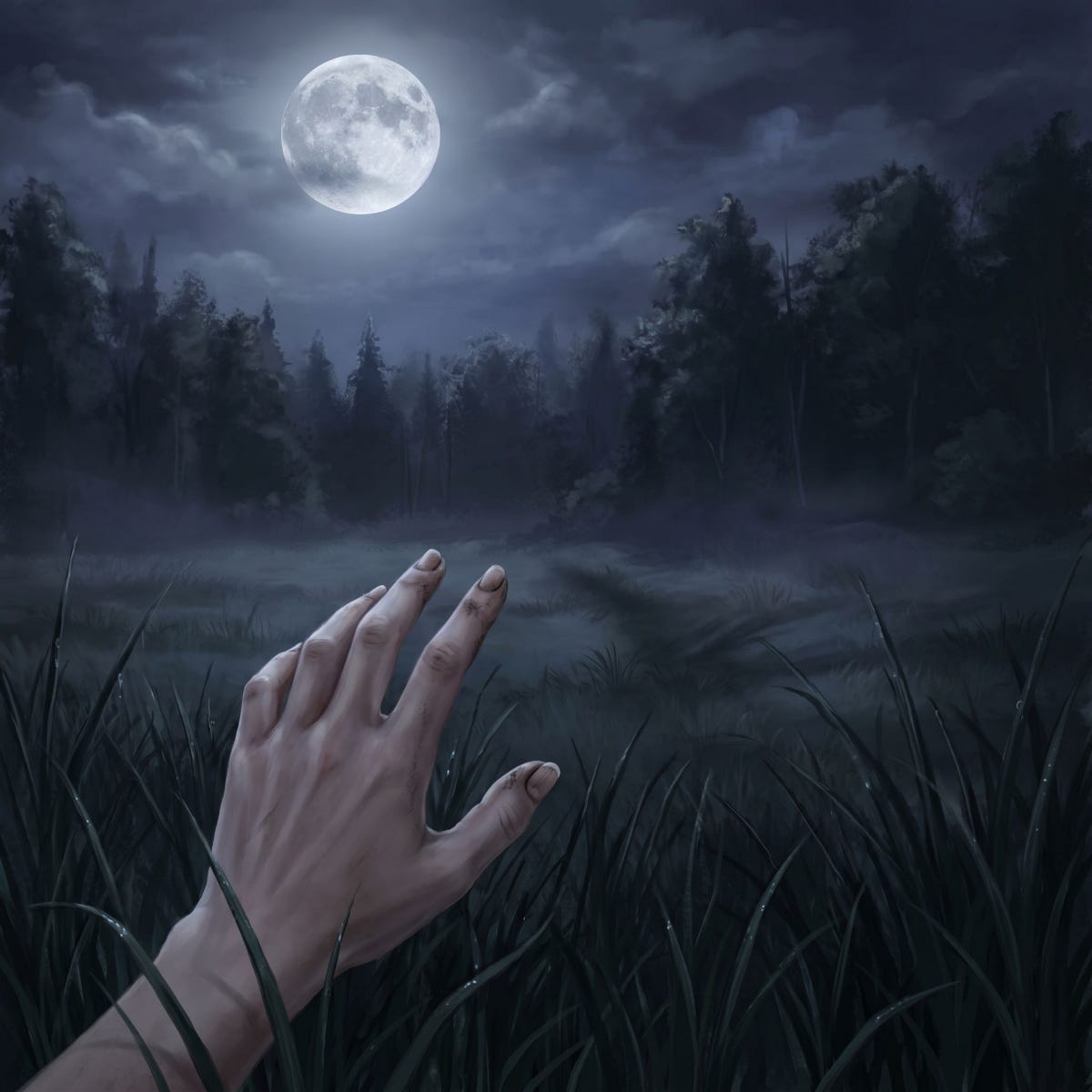 A woman's hand reaches toward the forest just beyond her reach