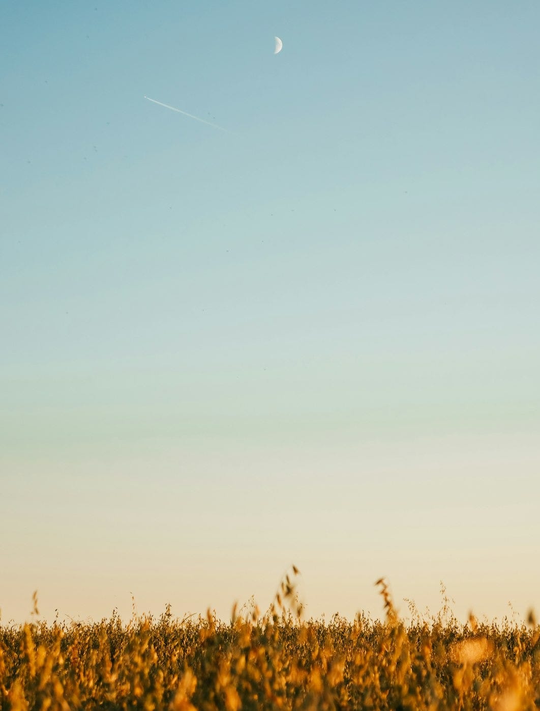 a person standing in a field with a kite in the sky a person standing in a field with a kite in the sky