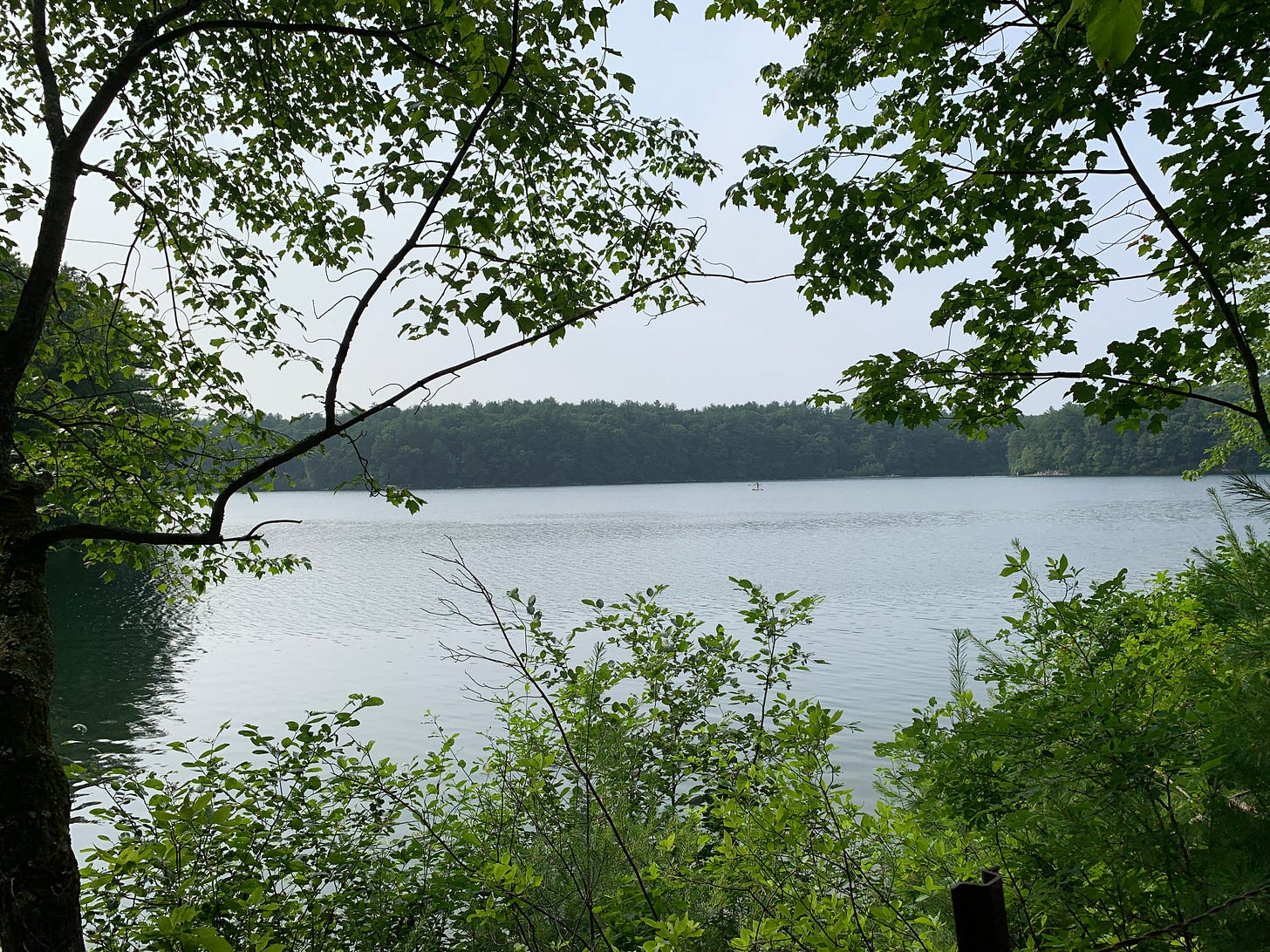 https://upload.wikimedia.org/wikipedia/commons/c/c7/Walden_Pond_outlook.jpg