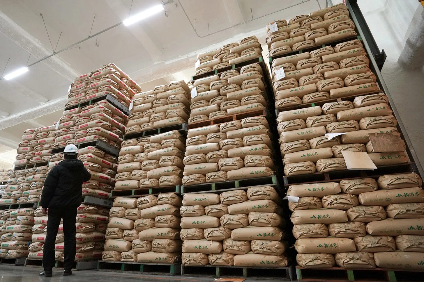 JAPAN-ECONOMY-AGRICULTURE-RICE