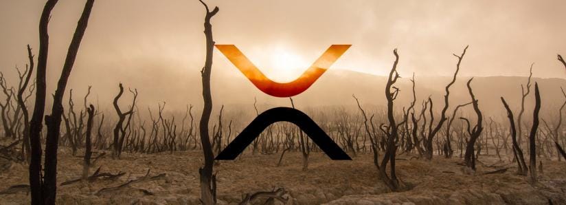 Former Ripple employee speaks out, XRP price doesnât reflect xRapid use Former Ripple employee speaks out, XRP price doesnât reflect xRapid use
