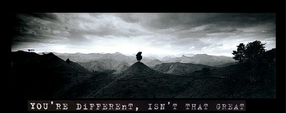 photo by Alistair Guthrie photo by Alistair Guthrie