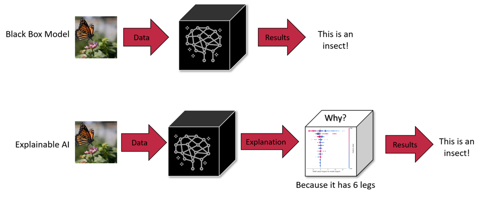 Black-box model vs. explainable model