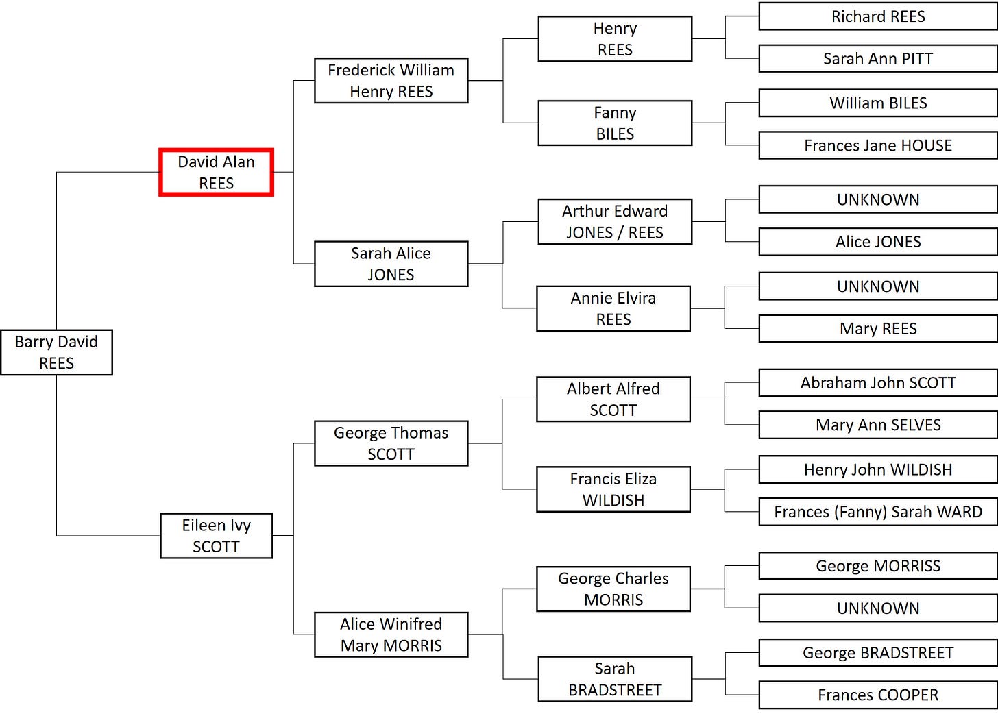 Where David Alan Rees fits into the Rees Scott Family Tree