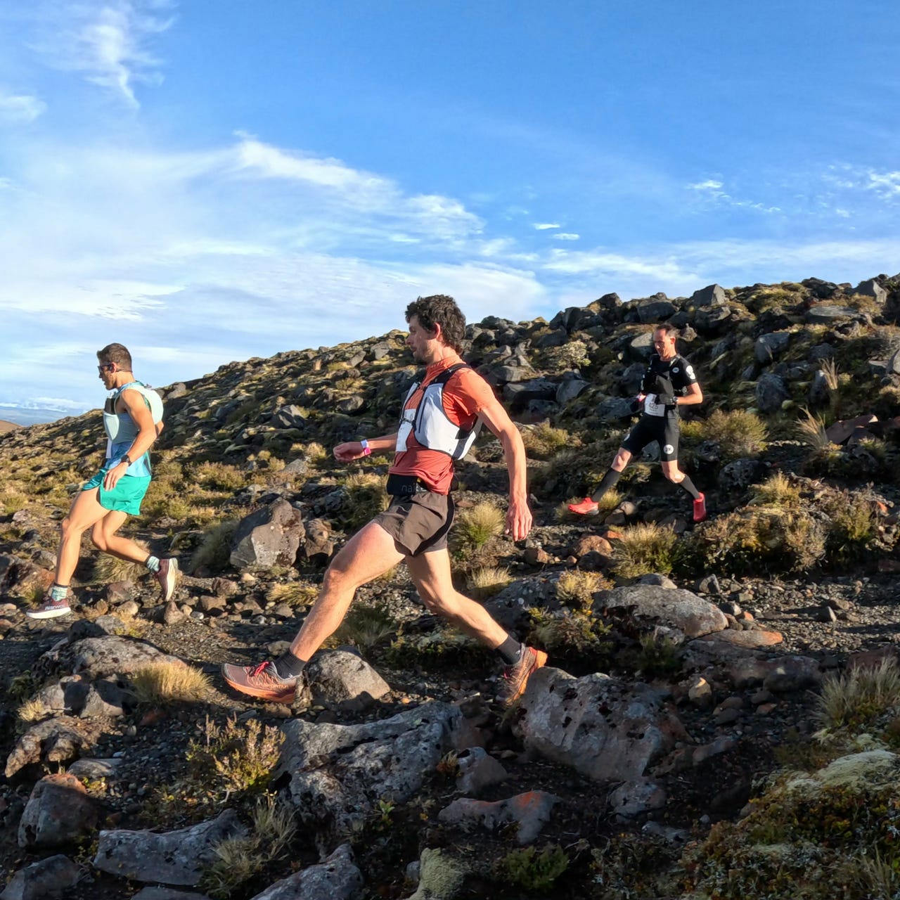 The Mountain Runner's Chronicle