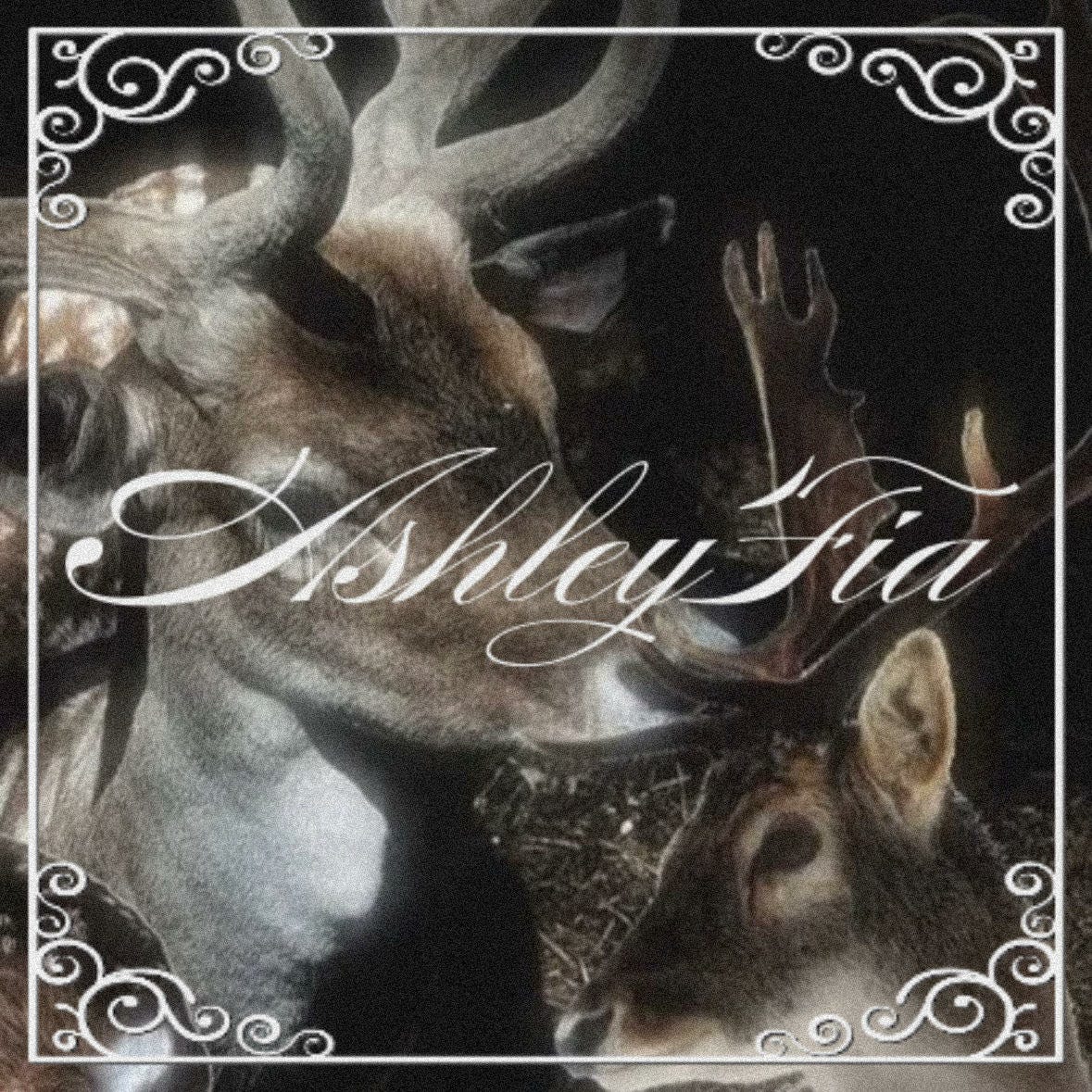 ASHLEY FIA'S SUBSTACK