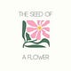 The Seed Of A Flower