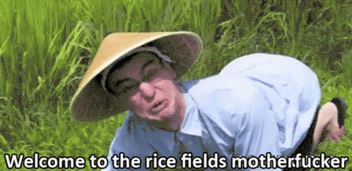 Welcome To The Rice Fields GIF | Tenor