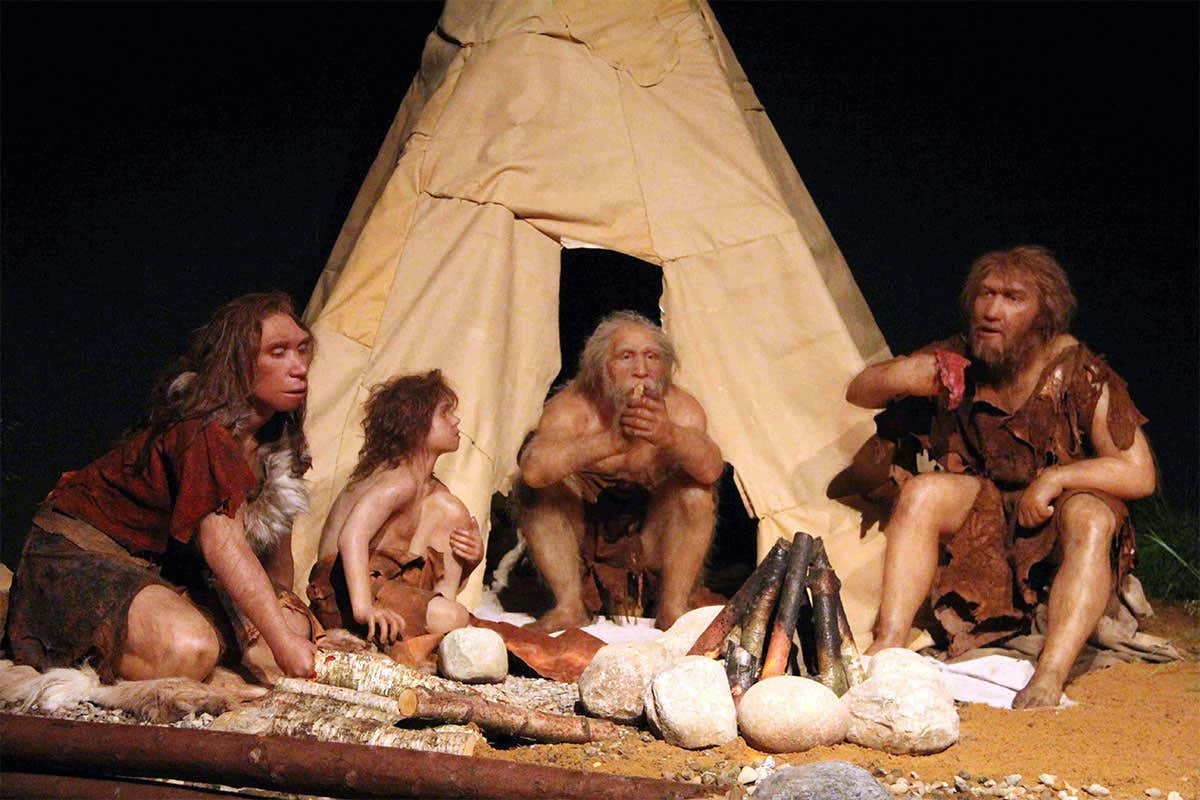 New Scientist Live: the sophisticated home life of Neanderthals | New Scientist New Scientist Live: the sophisticated home life of Neanderthals | New Scientist