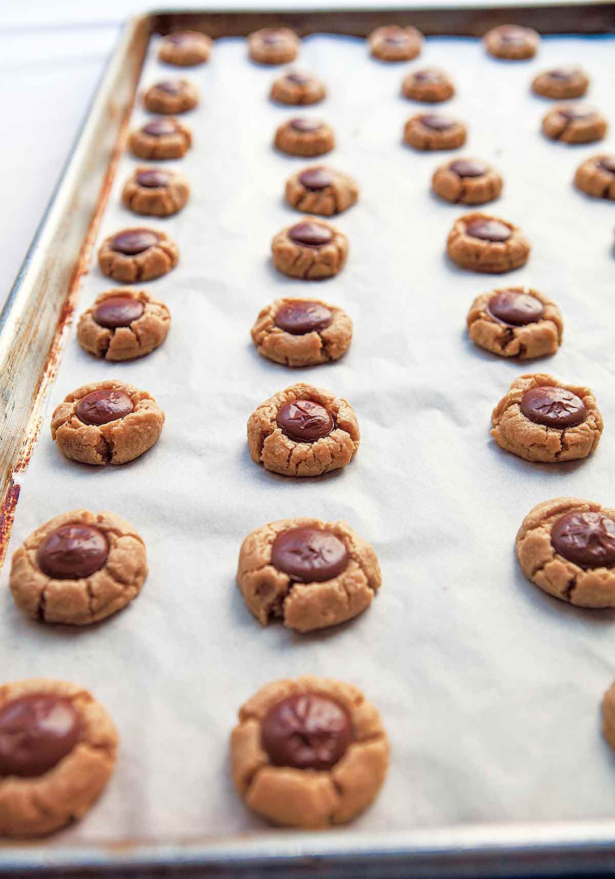 Peanut Butter Blossom Cookies