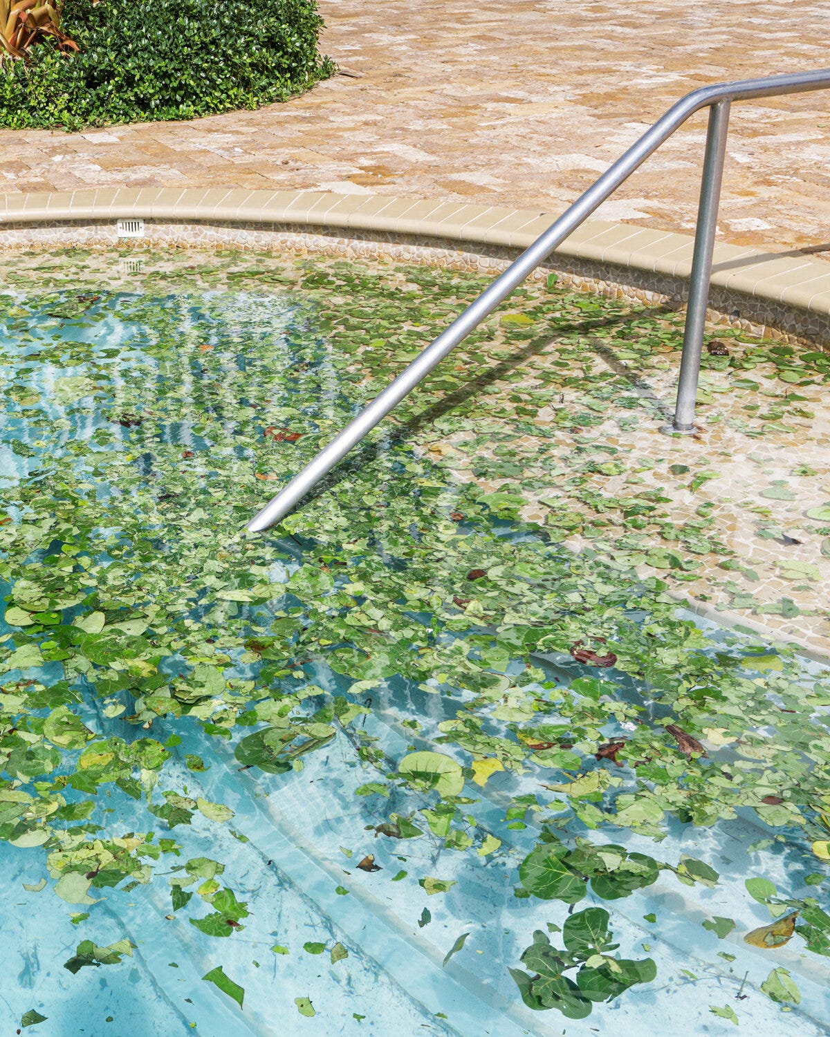 Pool after Hurricane 2017 Vertical.jpg Pool after Hurricane 2017 Vertical.jpg