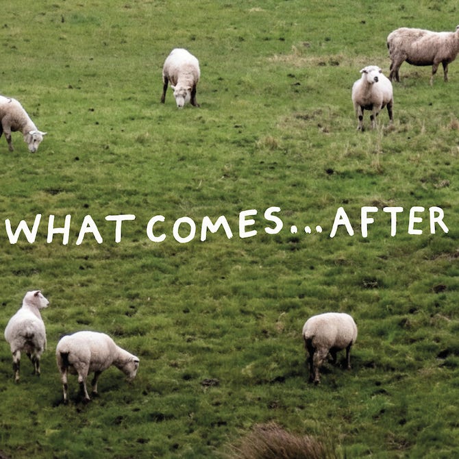 WHAT COMES AFTER-by Alix Petit logo