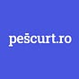 pes̄curt.ro's avatar