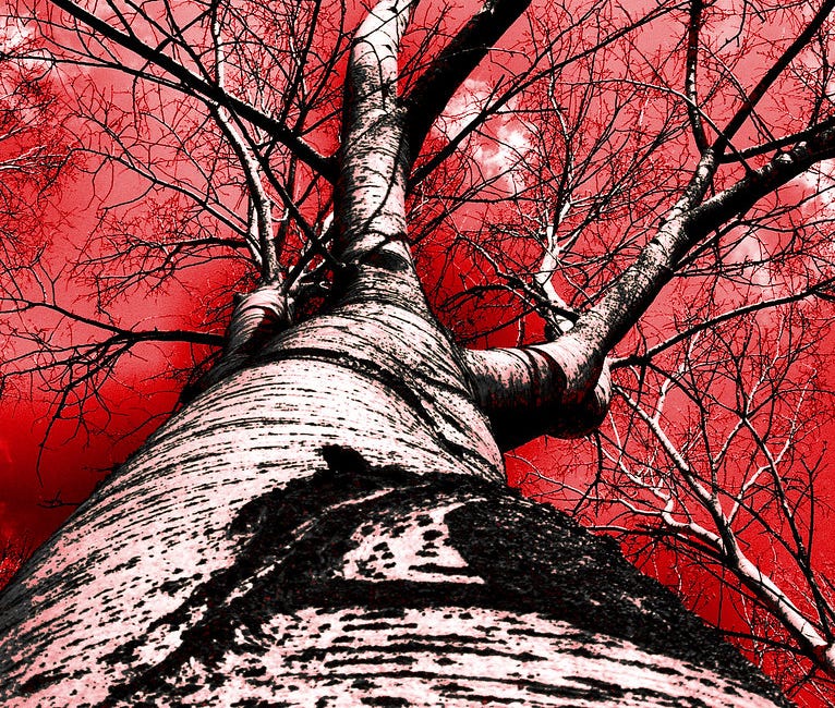 You Are Being Called to Greatness in the Face of the Apocalypse