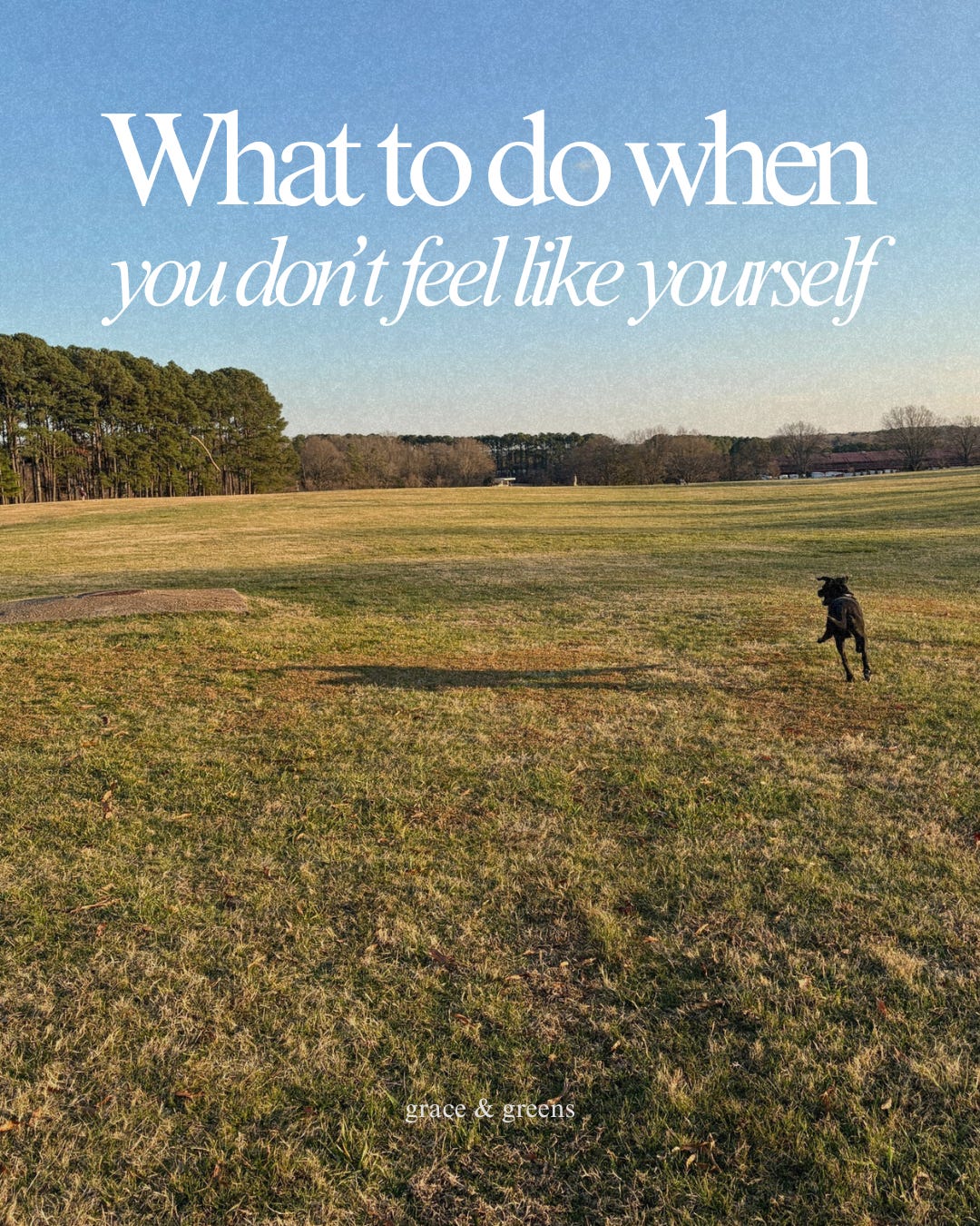 what to do when you don't feel like yourself graphic with dog running in the field