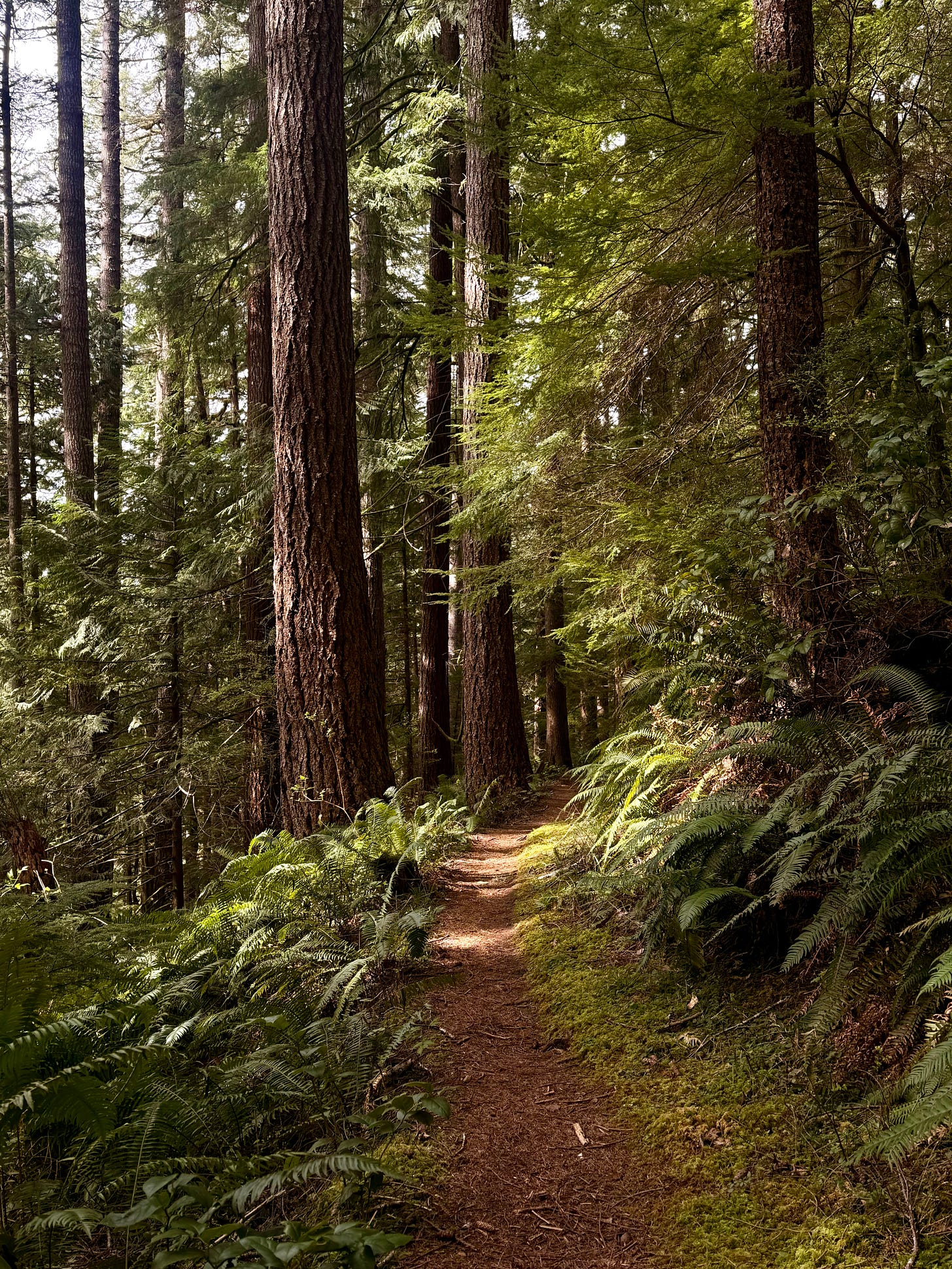 Gwynn Creek Trail
