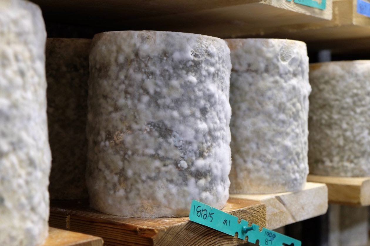 Jasper Hill Farm Bayley Hazen Blue cheese