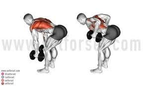 Dumbbell Rows: How To, Muscles Worked ...