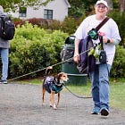 Run, Walk, Wag 5k Returns to Bar Harbor in Memory of Mary Parker