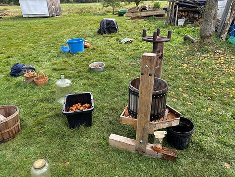several people cut and press pears and apples harvested from the farm