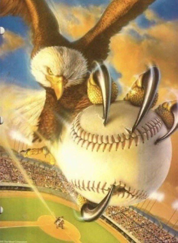 What would the ruling be if a batter hits a no doubter, but an eagle or a  hawk swoops in and tries to take the ball, stealing it or causing it to