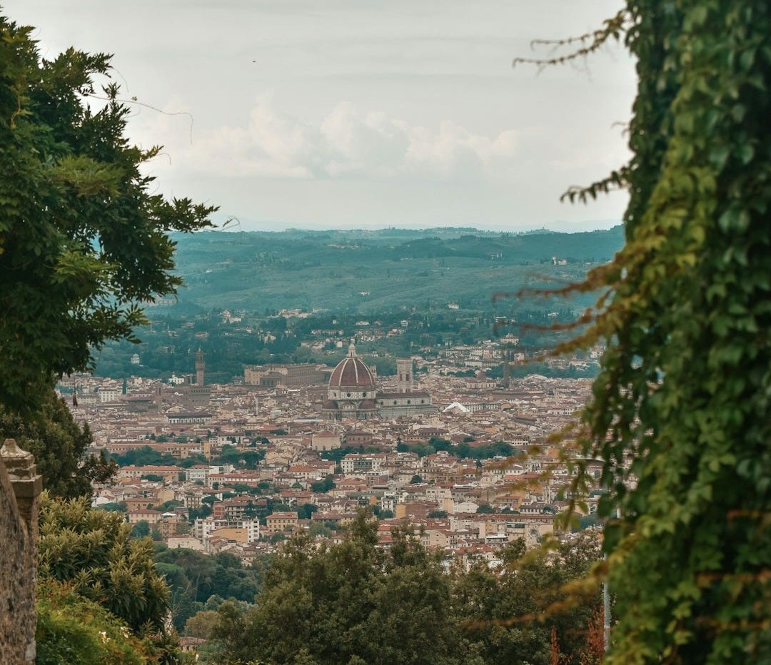 green trees near city buildings during daytime