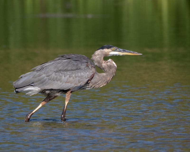 20250818-ElRio-65-Edit.jpg 20250818-ElRio-65-Edit.jpg