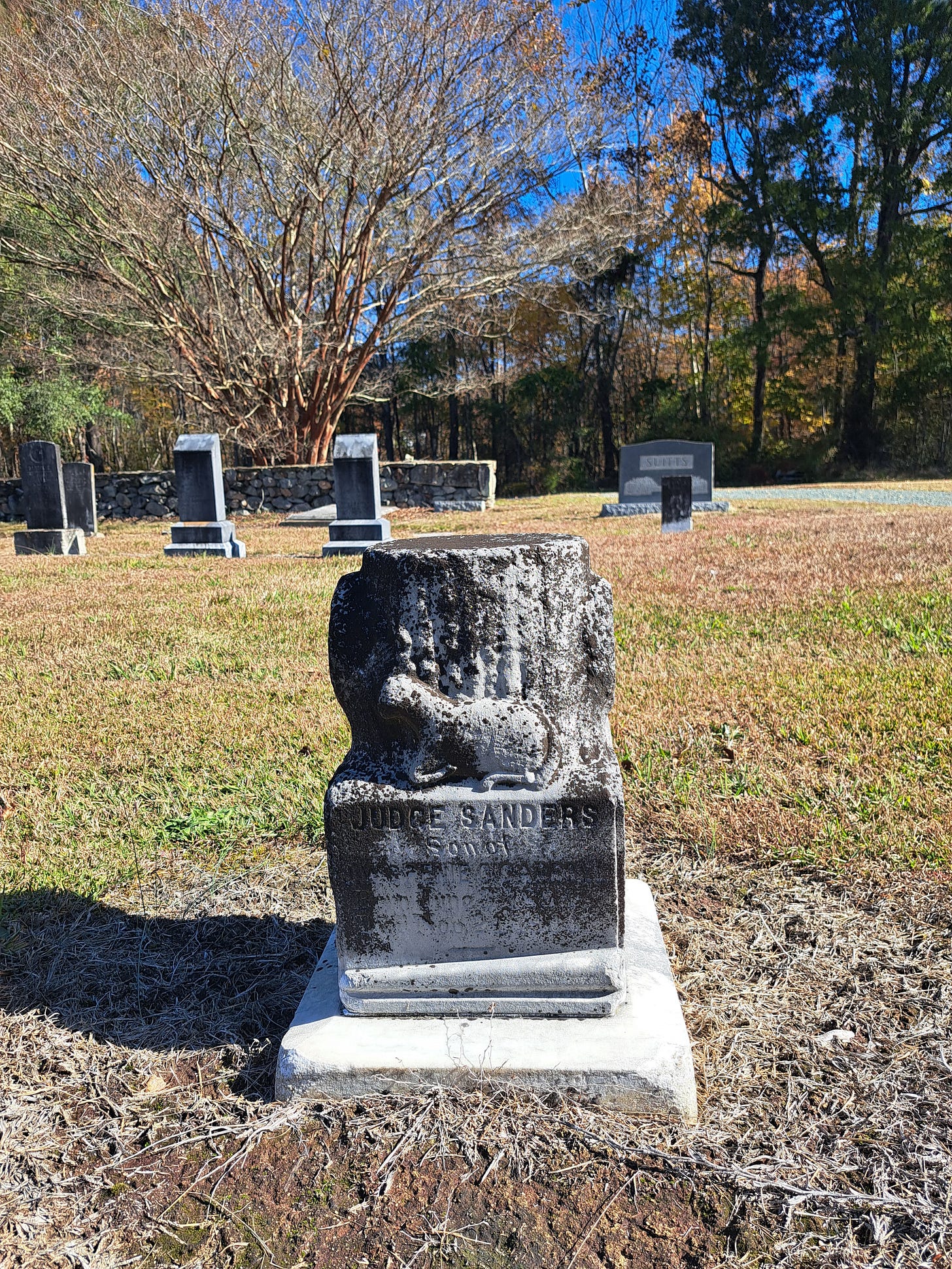 Gravestone in an old cemetery. The monument features a stump of a tree with a lamb at its base. The name on the stone is Judge Sanders, son of [illegible].