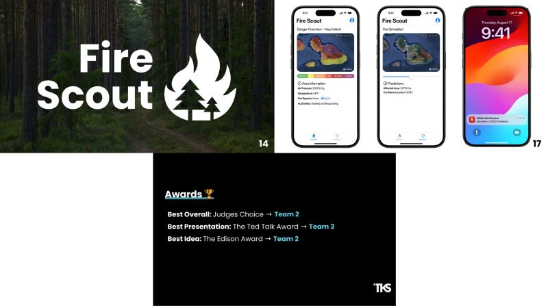 graphical user interface, website