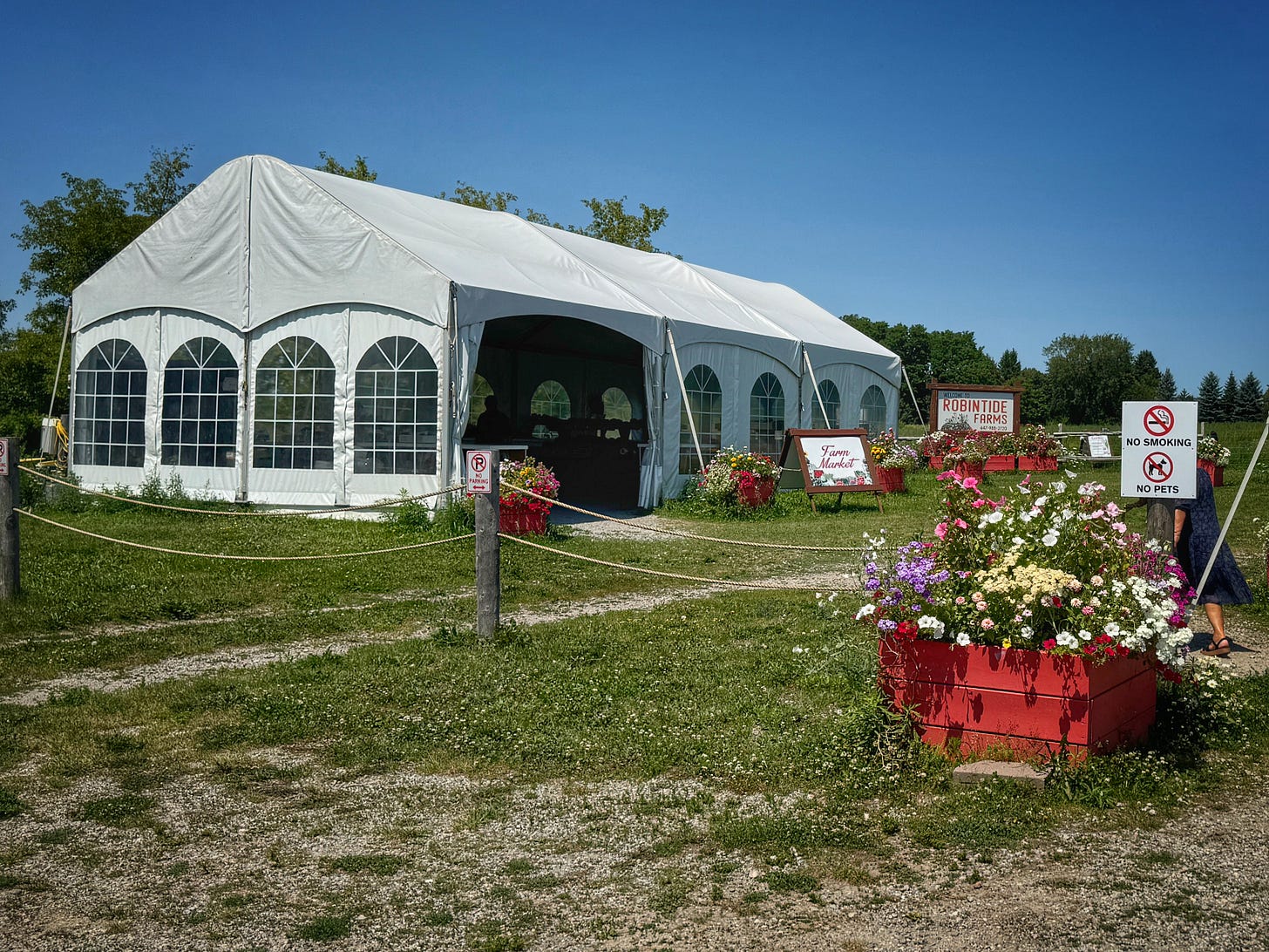 The front of Robintide Farm. There is a large wedding-style tent that contains the market.There are many red planters teeming with flowers scattered around the tent. In the foreground there is a sign that reads, "No Smoking" and "No Pets." At the far end of the tent there is a sign that says, "Robintide Farms" and another that reads, "Farm Market. The sky is very blue and the grass has lots of clover. The front of Robintide Farm. There is a large wedding-style tent that contains the market.There are many red planters teeming with flowers scattered around the tent. In the foreground there is a sign that reads, "No Smoking" and "No Pets." At the far end of the tent there is a sign that says, "Robintide Farms" and another that reads, "Farm Market. The sky is very blue and the grass has lots of clover.