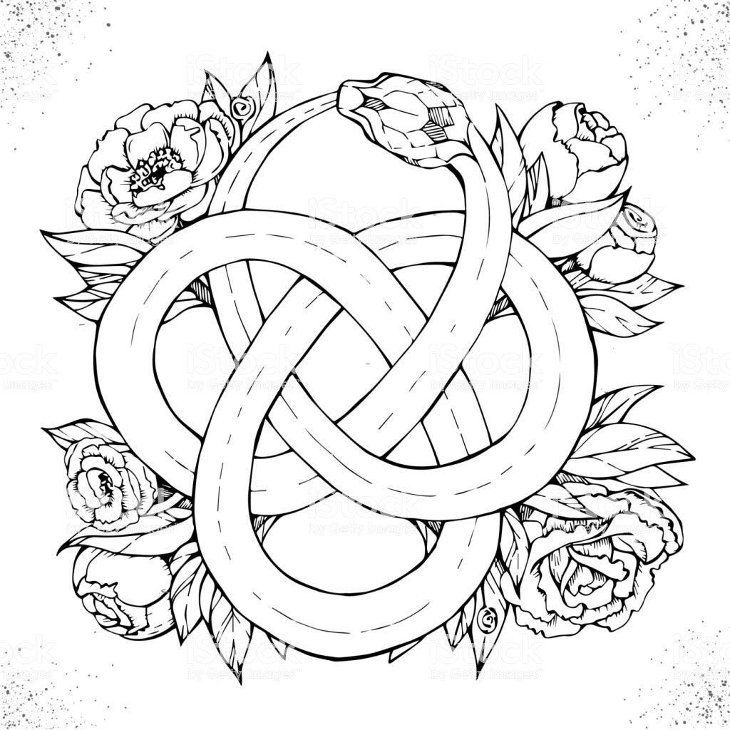 The Interconnected Heart