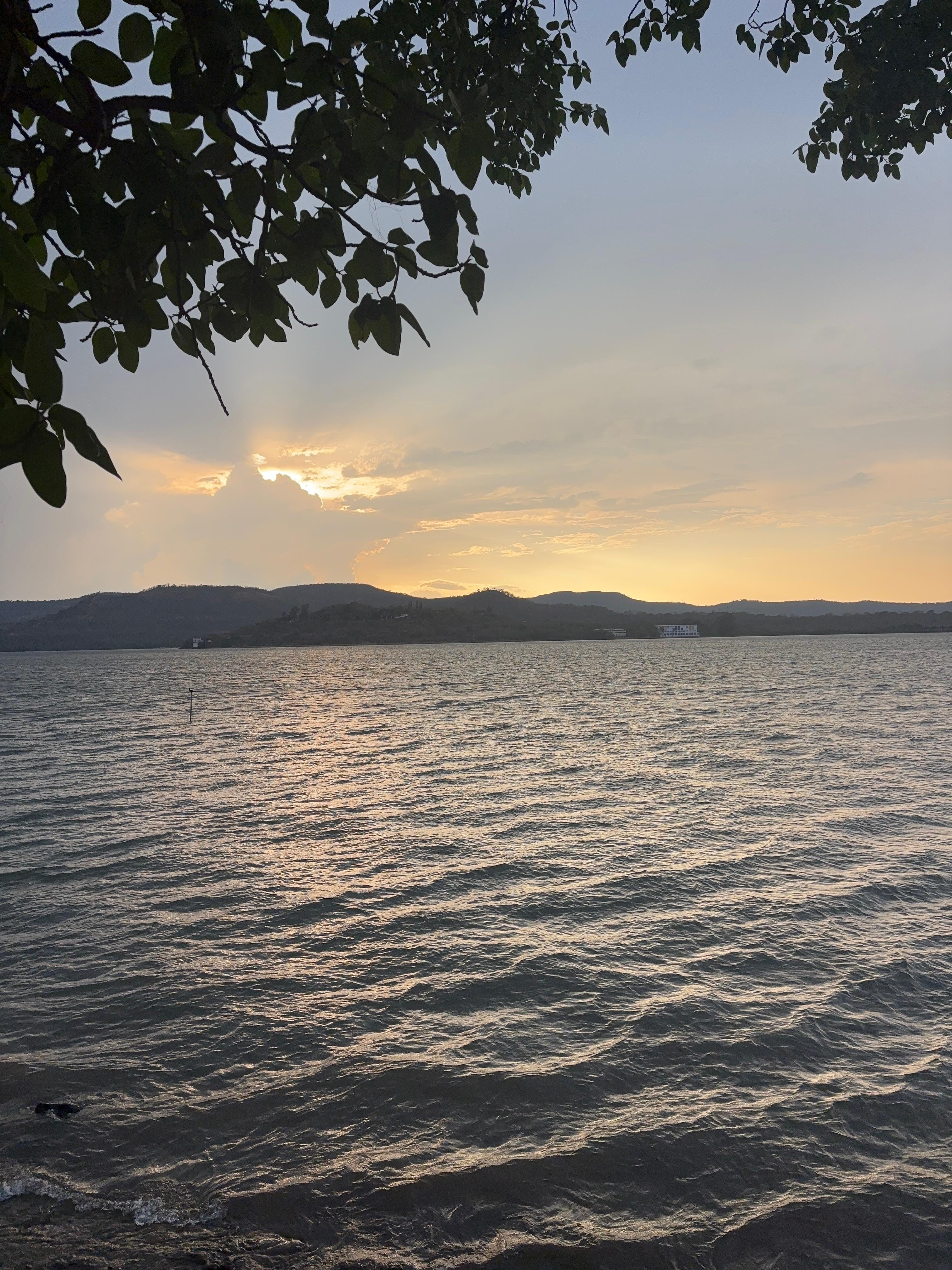 Artwork for weird things