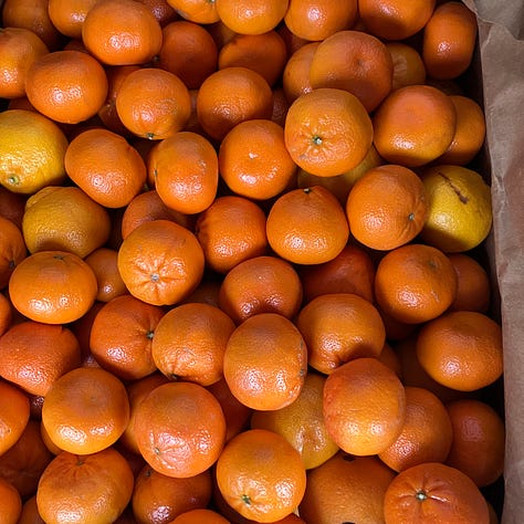 Green beans, tomotoes, carrots, oranges, lemons, limes, apples