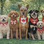 🇨🇦 Natalie Woodn’t 🇨🇦's avatar