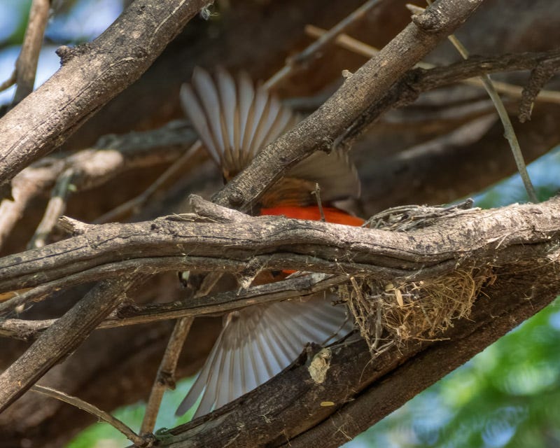 20260330-Sweetwater-159-Edit.jpg 20260330-Sweetwater-159-Edit.jpg