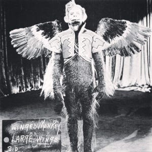 A person in a monkey garment

AI-generated content may be incorrect.