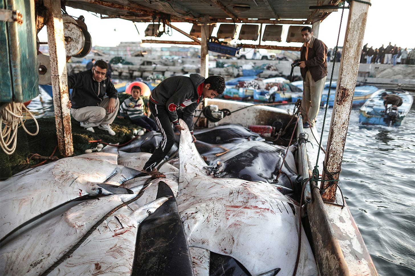 Abu Daya, left, during a trip with fishers to collect data about the size of rays they had caught, in 2016. The two boys are the fishers' sons. Image by Wissam Nassar, ©Save Our Seas Foundation. Abu Daya, left, during a trip with fishers to collect data about the size of rays they had caught, in 2016. The two boys are the fishers' sons. Image by Wissam Nassar, ©Save Our Seas Foundation.