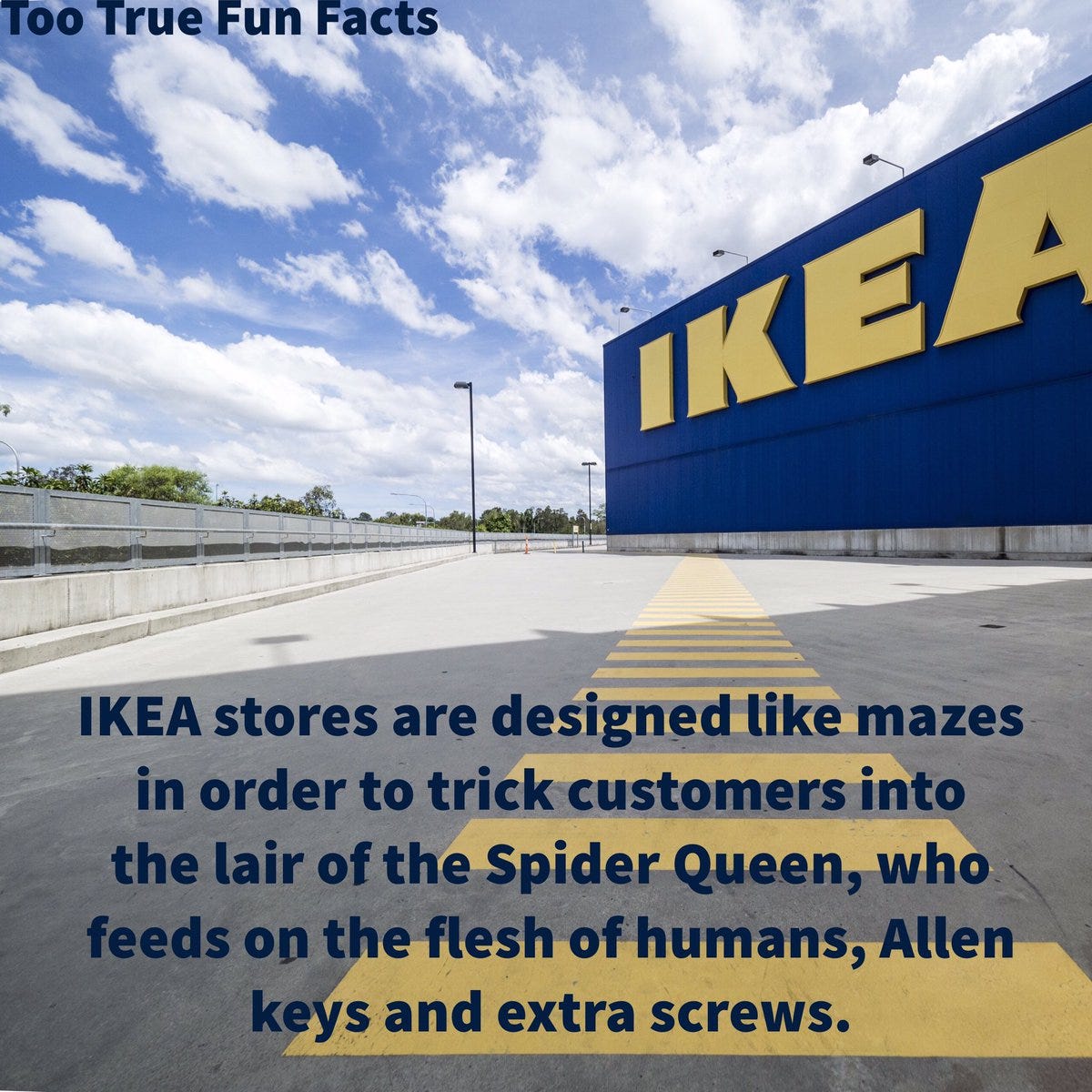 Image result from https://twitter.com/tootruefunfacts/status/925404182978465792